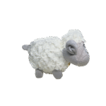 ⁦خروف⁩ - الصورة ⁦2⁩